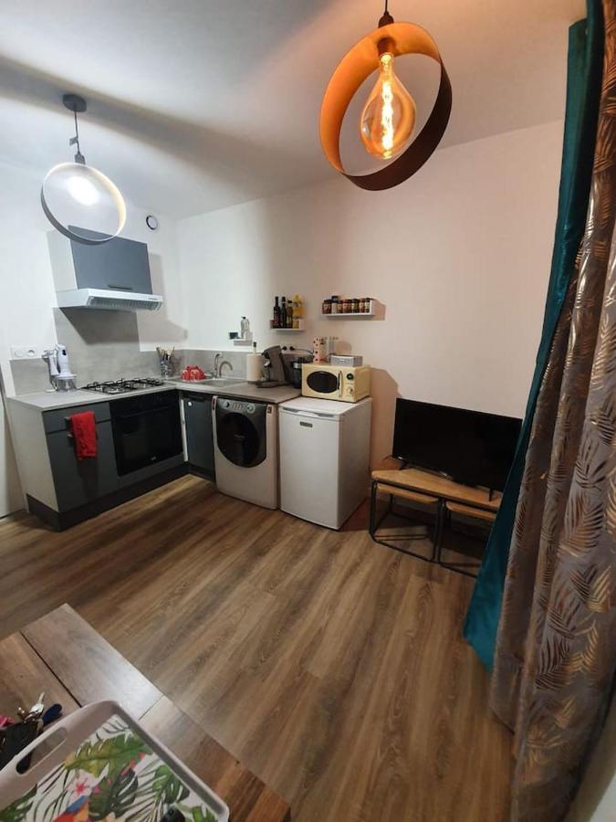 Ferienwohnung Charmant Petit F1 Tain-lʼHermitage Exterior foto